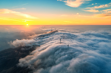 Social responsibility